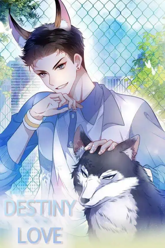 destiny-love