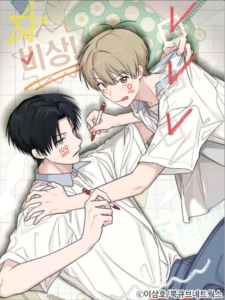 emergency-youth-record-book