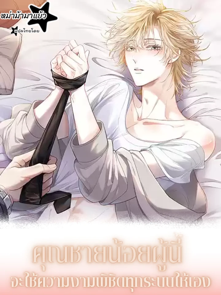 Handsome Guy Takes Over Systems – คุณชายน้อยผู้นี้จะใช้ความงามพิชิตทุกระบบให้เอง