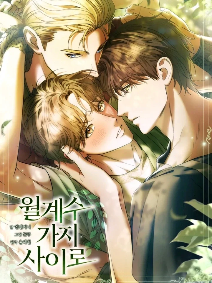 Between the Laurel Branches ลวงรักใต้ร่มลอเรล 월계수 가지 사이로