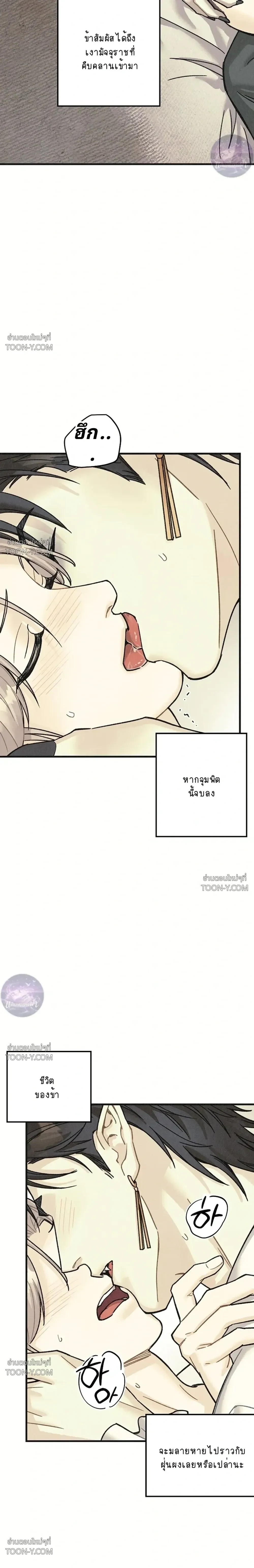 Crescent Moon จันทร์สลักรักอสูร - ตอนที่ 1 — จาฮันพบรักป่าดำ - หน้า 3