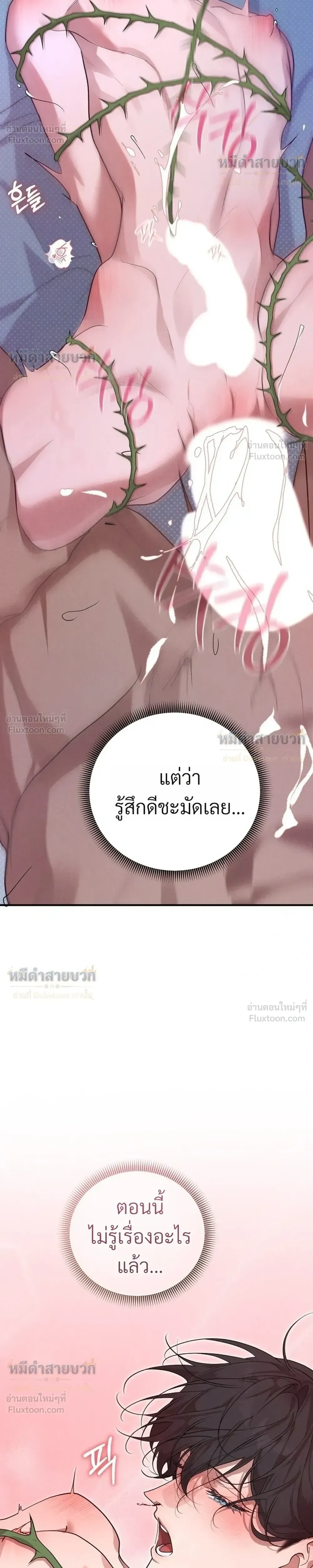 Nebula – พันธุ์เถื่อนโคตรคลั่งรัก - ตอนที่ 11 - หน้า 41