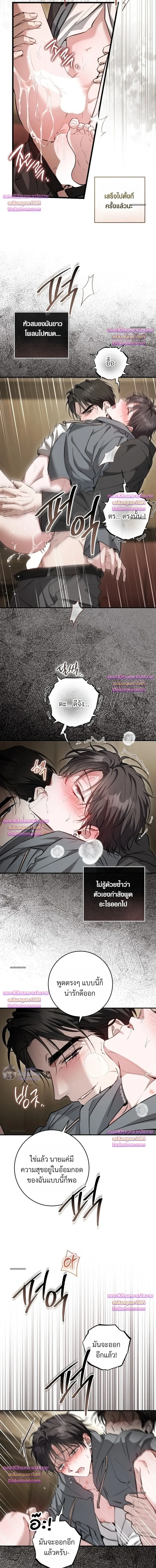 The Noble Brothers' Circumstances เรื่องลับๆ ของพี่น้องตระกูลผู้ดี - ตอนที่ 13 - หน้า 14