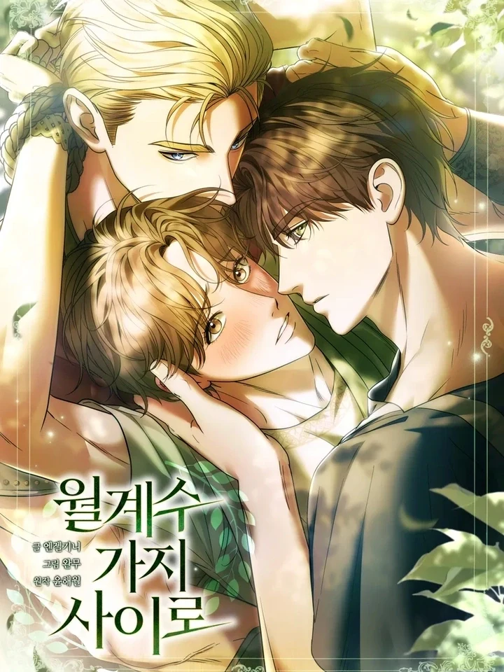 Under the Laurel Branches เร้นเงาใต้กิ่งลอเรล 월계수 가지 사이로