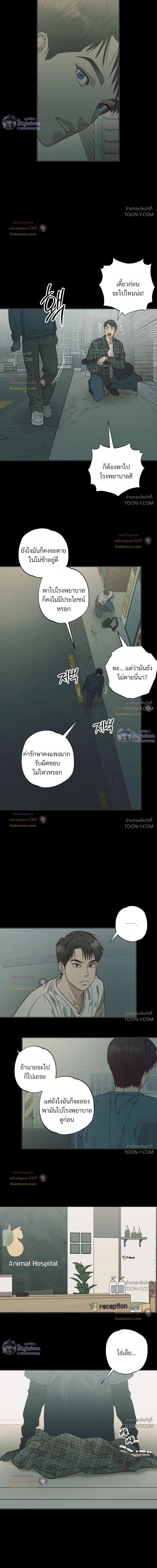 เมื่อหัวใจต่างเลือกกันและกัน – Purrfect Choice - ตอนที่ 33 - หน้า 3