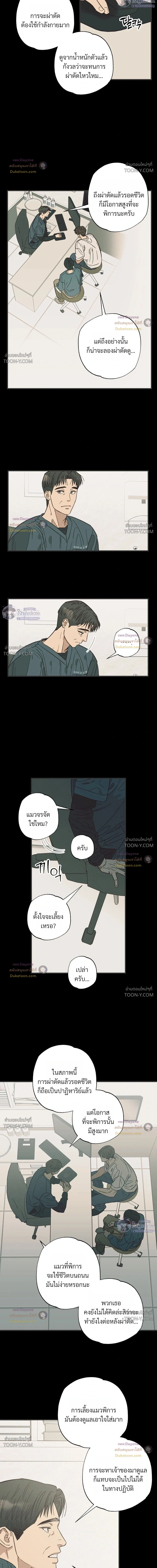 เมื่อหัวใจต่างเลือกกันและกัน – Purrfect Choice - ตอนที่ 33 - หน้า 5