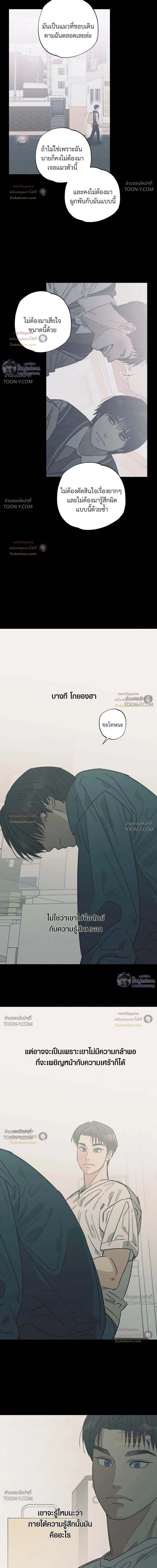 เมื่อหัวใจต่างเลือกกันและกัน – Purrfect Choice - ตอนที่ 33 - หน้า 9