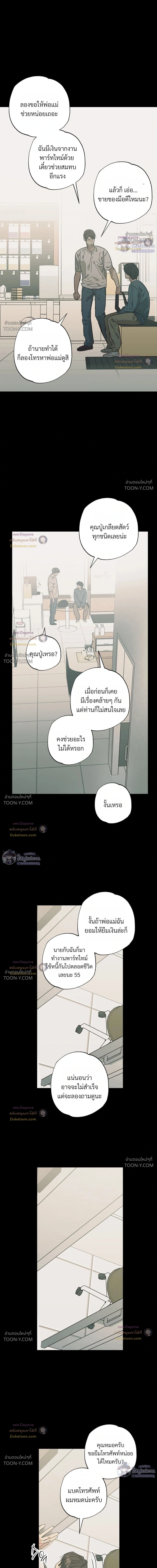 เมื่อหัวใจต่างเลือกกันและกัน – Purrfect Choice - ตอนที่ 33 - หน้า 11