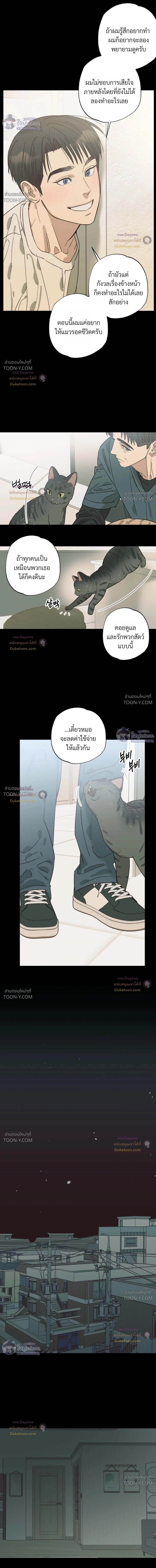 เมื่อหัวใจต่างเลือกกันและกัน – Purrfect Choice - ตอนที่ 33 - หน้า 13