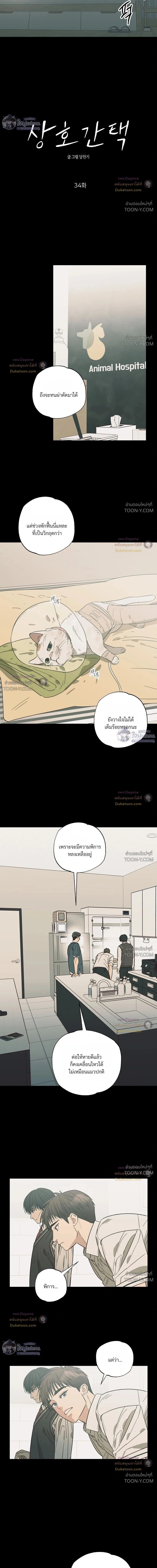 เมื่อหัวใจต่างเลือกกันและกัน – Purrfect Choice - ตอนที่ 34 - หน้า 3