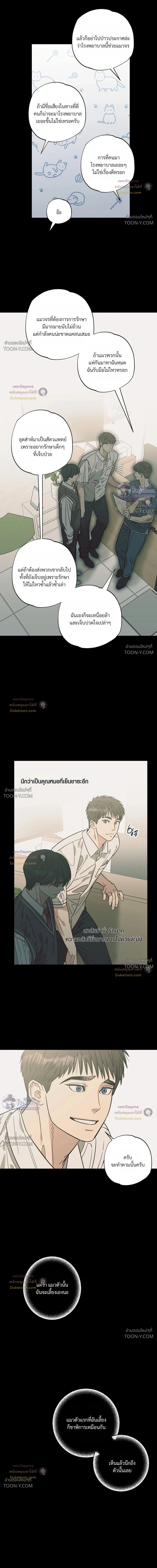เมื่อหัวใจต่างเลือกกันและกัน – Purrfect Choice - ตอนที่ 34 - หน้า 7