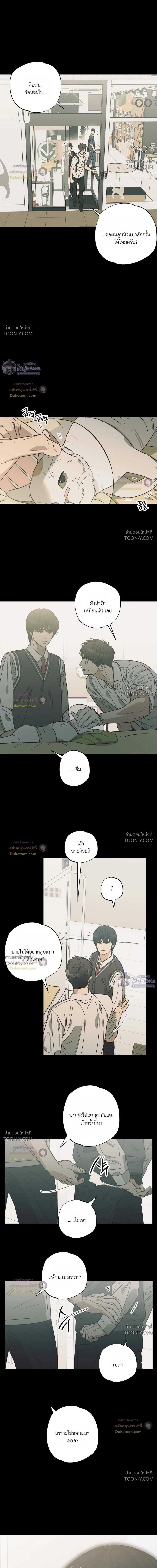เมื่อหัวใจต่างเลือกกันและกัน – Purrfect Choice - ตอนที่ 34 - หน้า 9