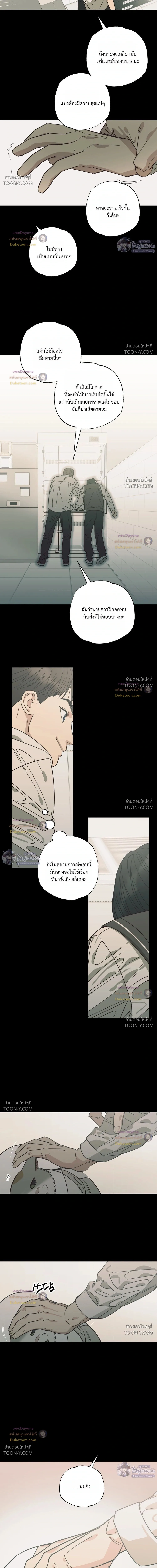 เมื่อหัวใจต่างเลือกกันและกัน – Purrfect Choice - ตอนที่ 34 - หน้า 11