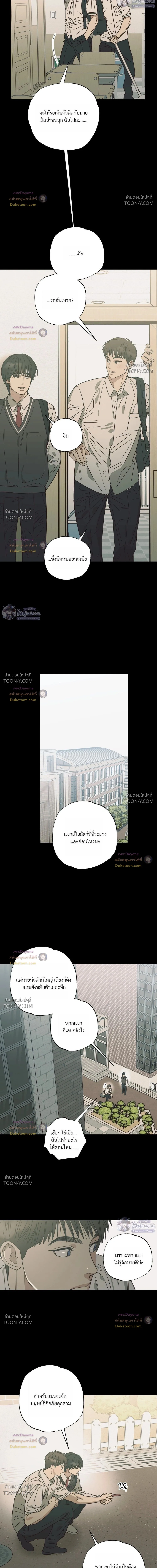 เมื่อหัวใจต่างเลือกกันและกัน – Purrfect Choice - ตอนที่ 34 - หน้า 15