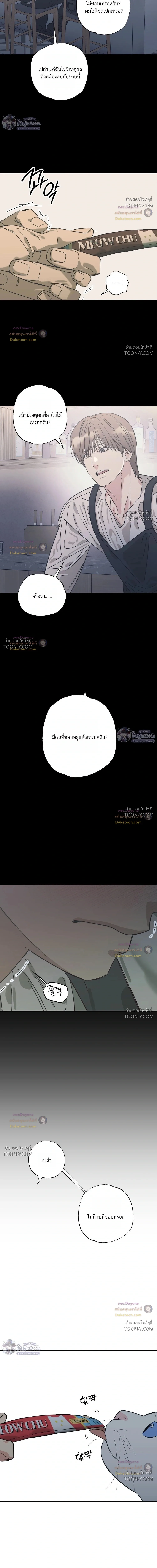 เมื่อหัวใจต่างเลือกกันและกัน – Purrfect Choice - ตอนที่ 35 - หน้า 3