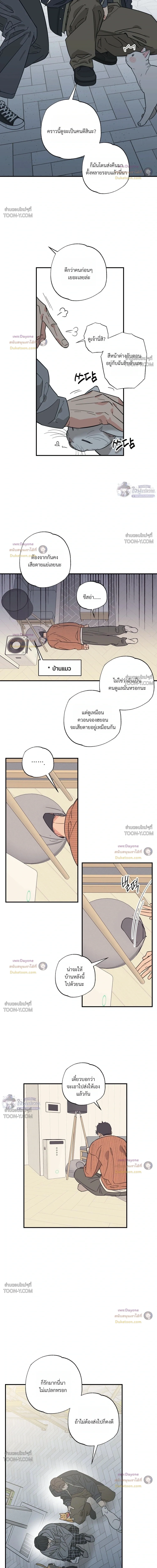 เมื่อหัวใจต่างเลือกกันและกัน – Purrfect Choice - ตอนที่ 35 - หน้า 7