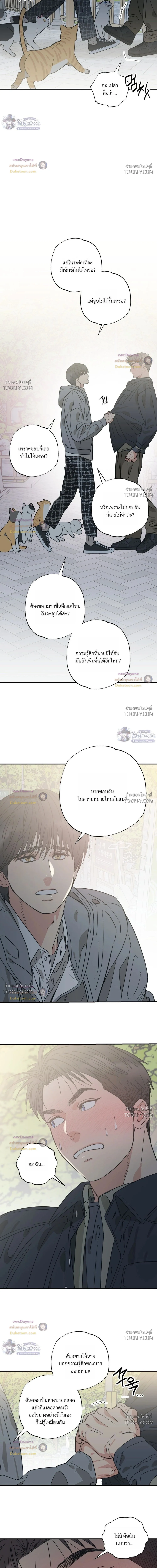 เมื่อหัวใจต่างเลือกกันและกัน – Purrfect Choice - ตอนที่ 35 - หน้า 13