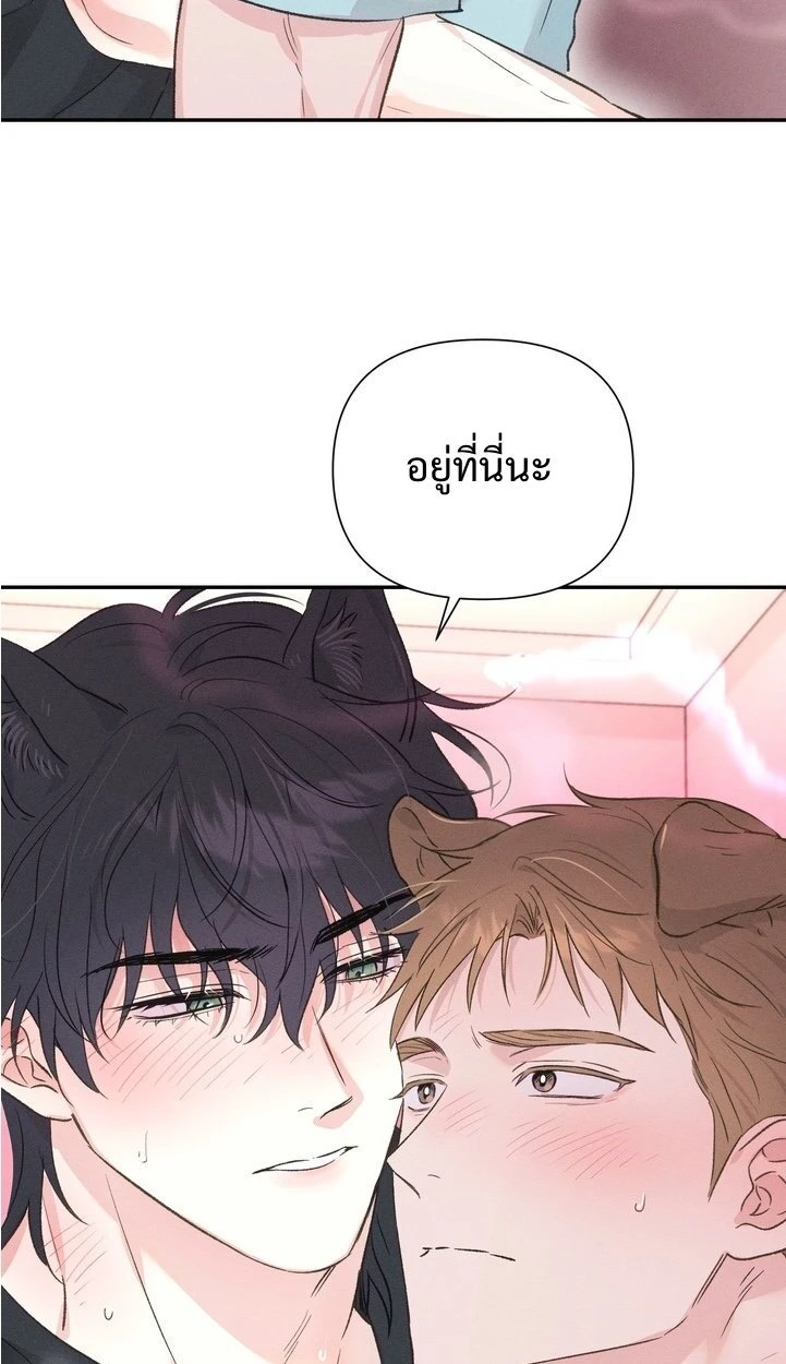 ล่ารักนายหมาป่า - ตอนที่ 3 - หน้า 37