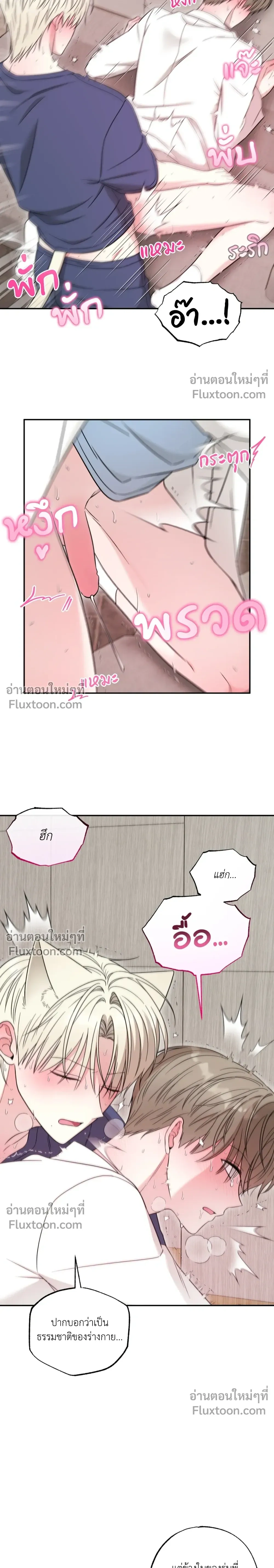 The Purrfect Match – แฟนหนุ่มแมวเหมียว - ตอนที่ 9 - หน้า 15