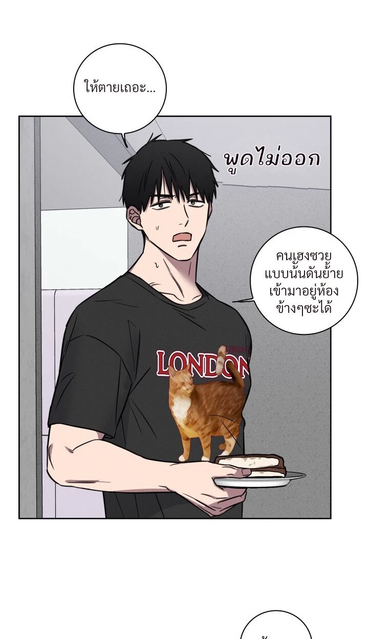 ไขคดีลับไอ้จ้อนที่หายไป - ตอนที่ 1 - หน้า 13