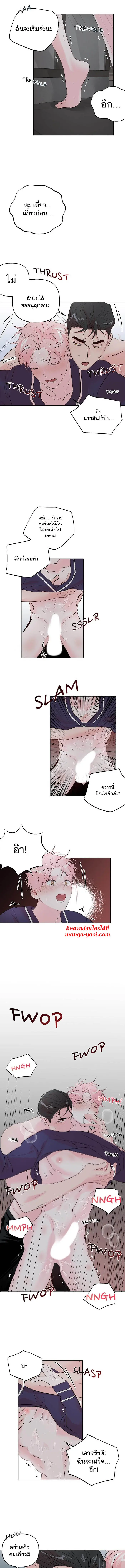 Assorted Wildness - ตอนที่ 39 - หน้า 4
