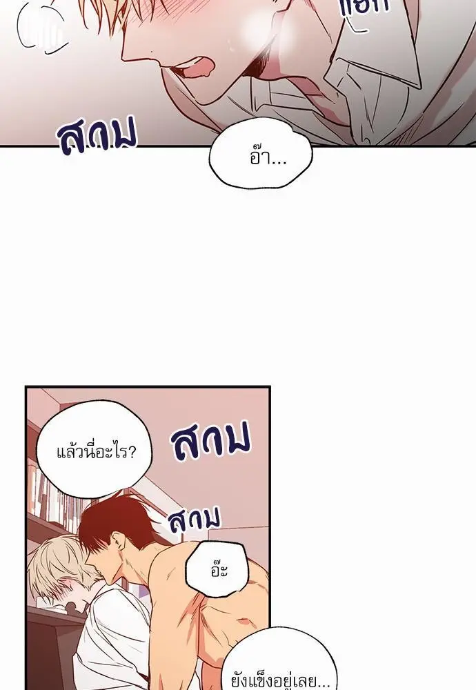 No Love Zone เขตจำกัดรัก - ตอนที่ 24 - หน้า 21