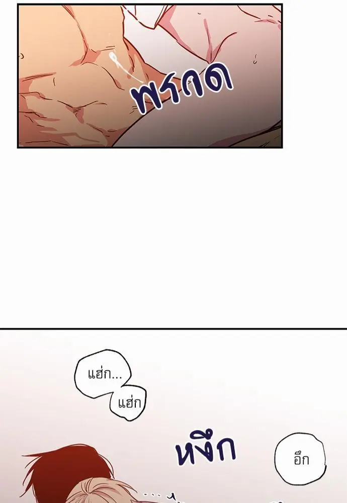 No Love Zone เขตจำกัดรัก - ตอนที่ 24 - หน้า 41